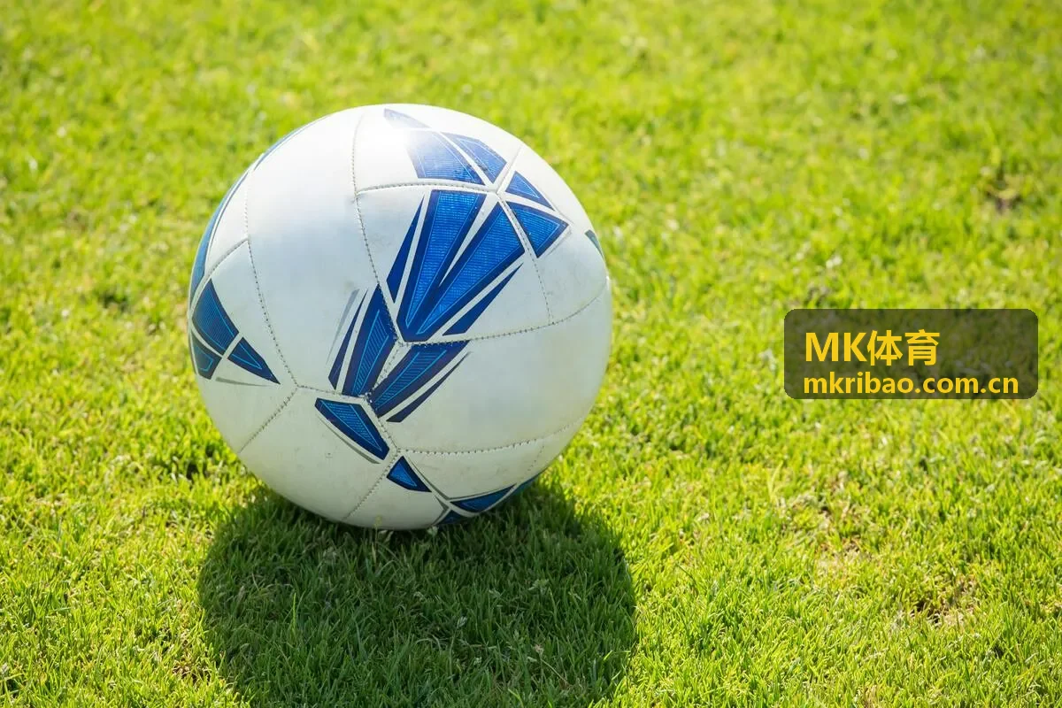 MK体育创意传承对话